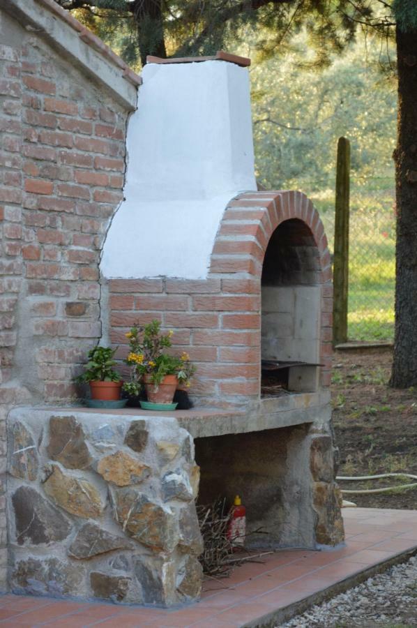 Agriturismo San Lino-Gilberto มัสซามาริตติมา ภายนอก รูปภาพ